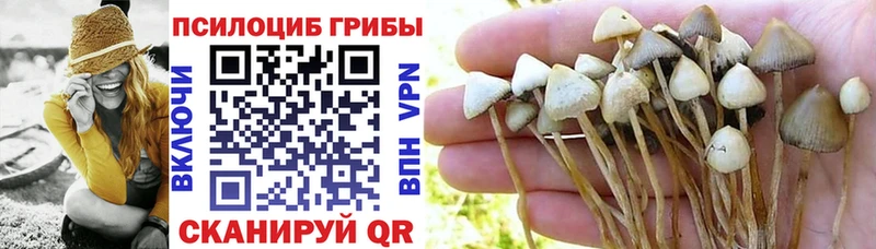 Галлюциногенные грибы GOLDEN TEACHER  Ужур 